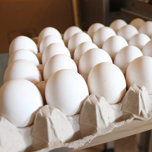 White eggs from the farm in an egg tray